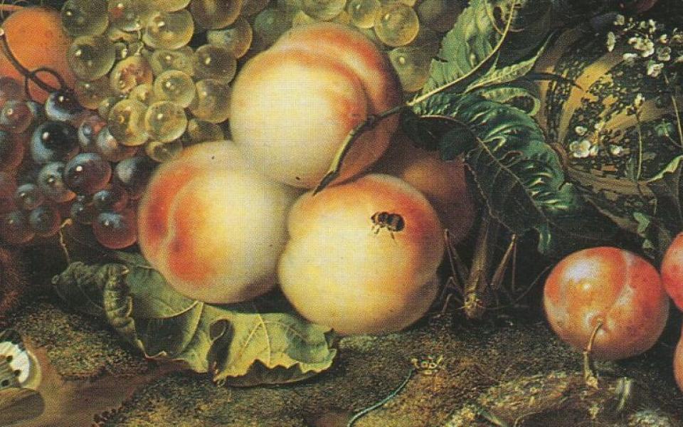 kerkhof-header