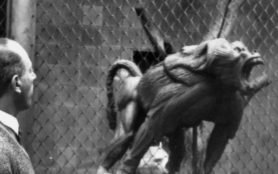 beeldhouwers-archieven-digitalisering-header