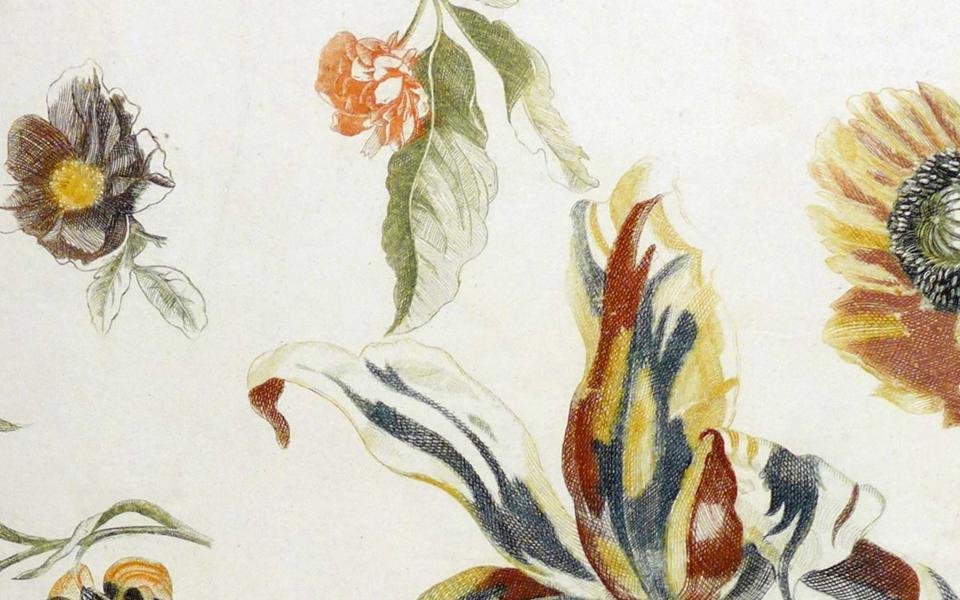 Jacoba Lugt-Klever Fellow