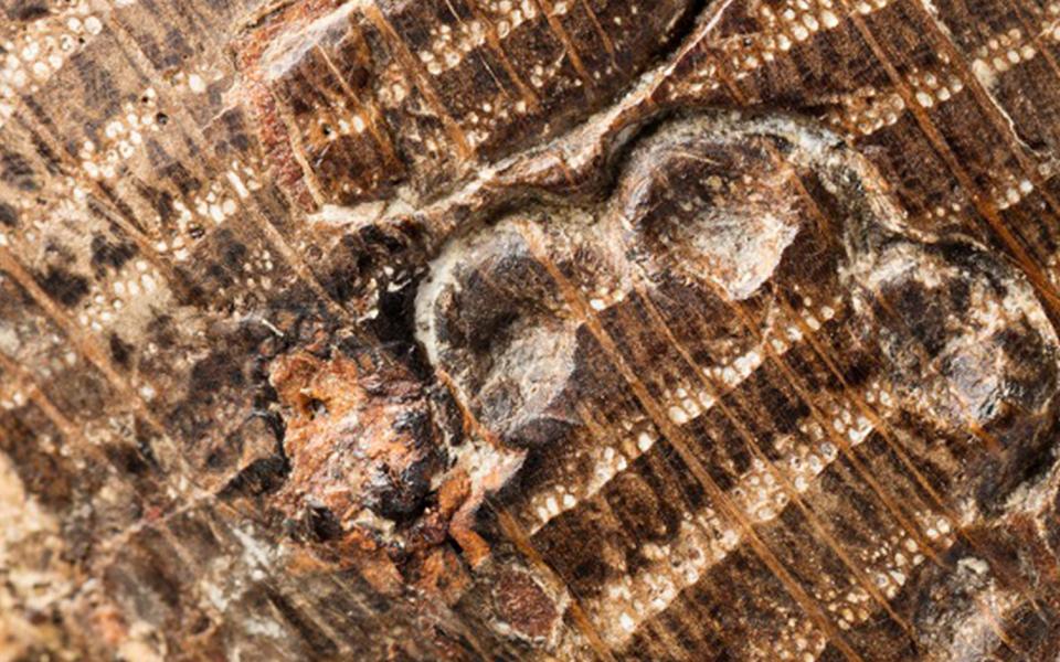 marks on art project