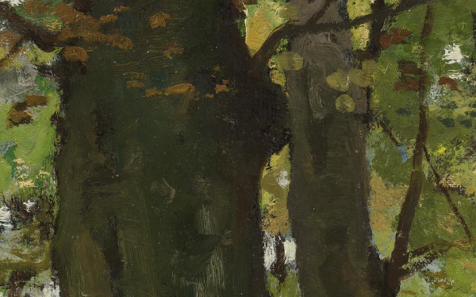 decoratieve afbeelding