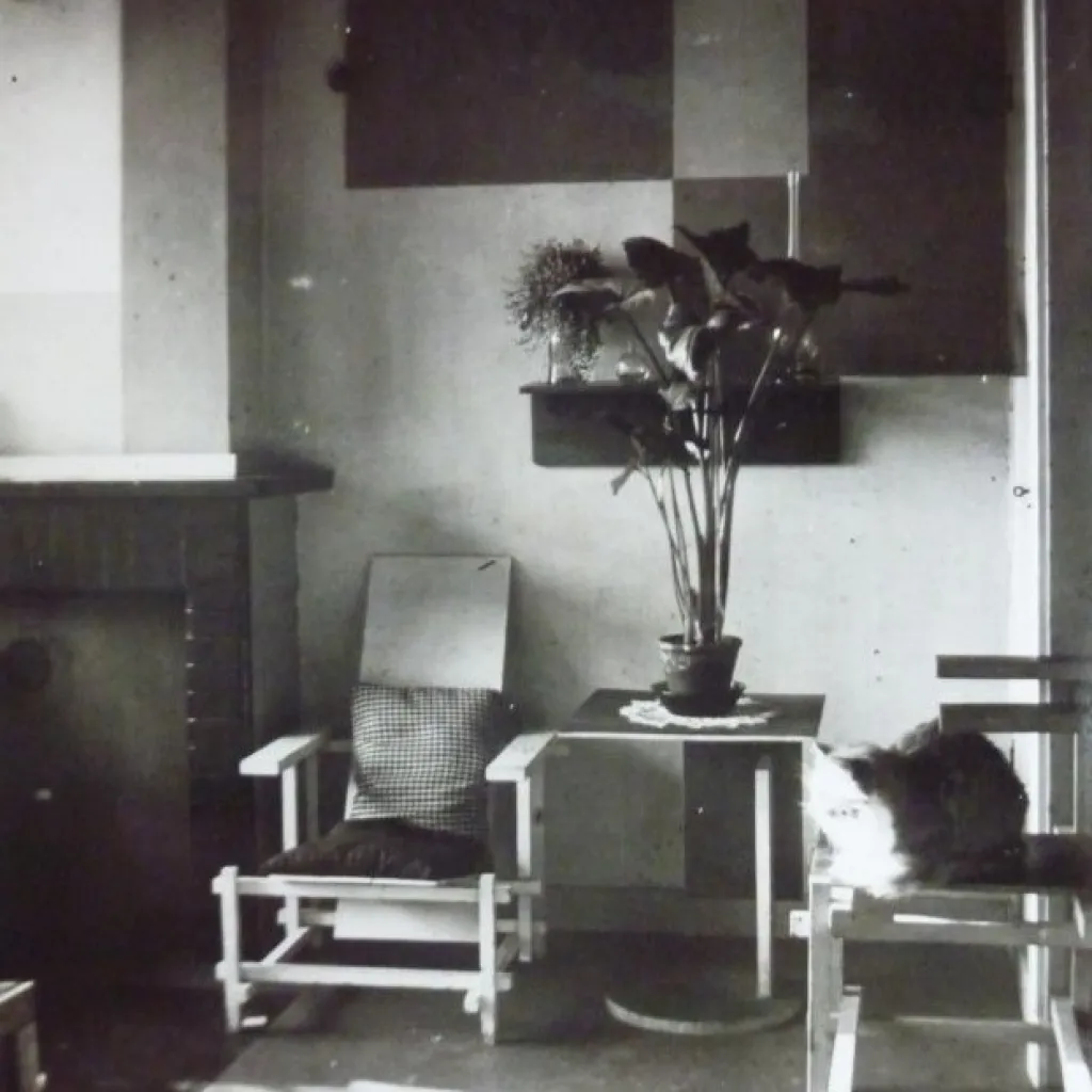 foto muziekkamer met kat