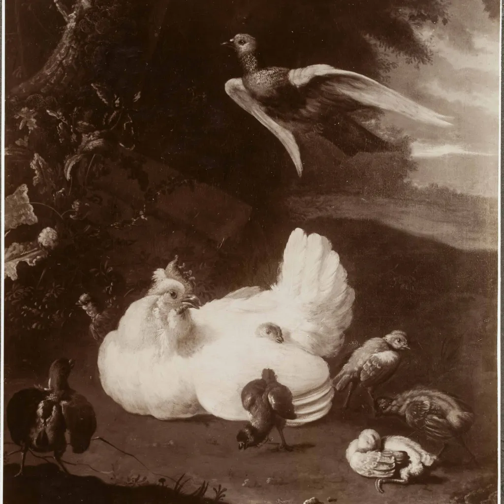 archiefstuk uit het rkd van kunsthandel kunstzaal oudt holland met een schilderij van een hen met kuikens en een vliegende duif in een landschap