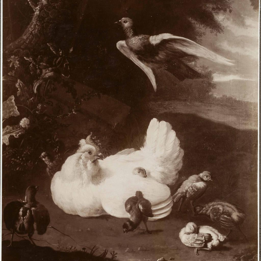 archiefstuk uit het rkd van kunsthandel kunstzaal oudt holland met een schilderij van een hen met kuikens en een vliegende duif in een landschap
