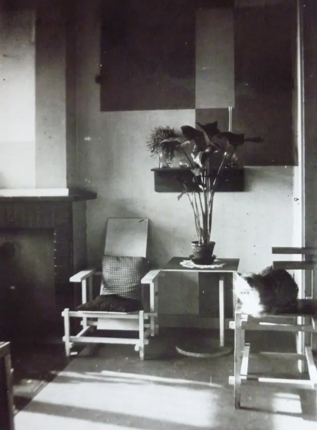 foto muziekkamer met kat