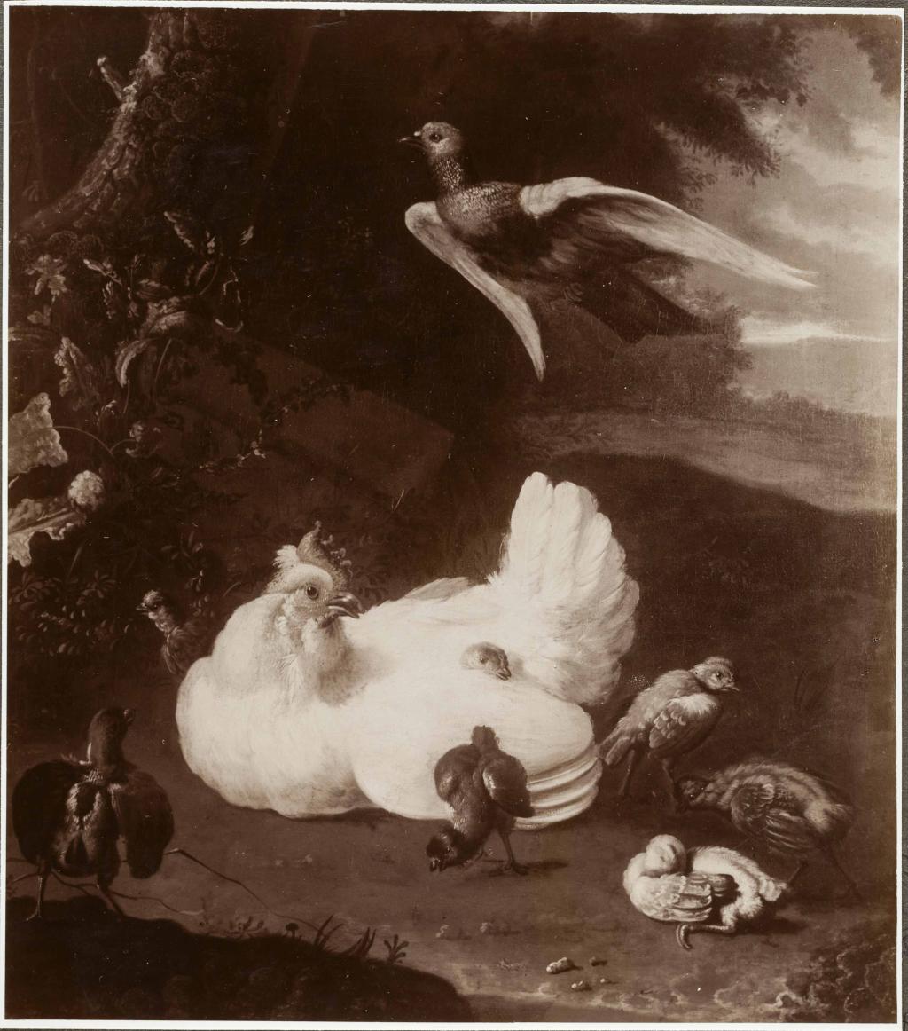 archiefstuk uit het rkd van kunsthandel kunstzaal oudt holland met een schilderij van een hen met kuikens en een vliegende duif in een landschap