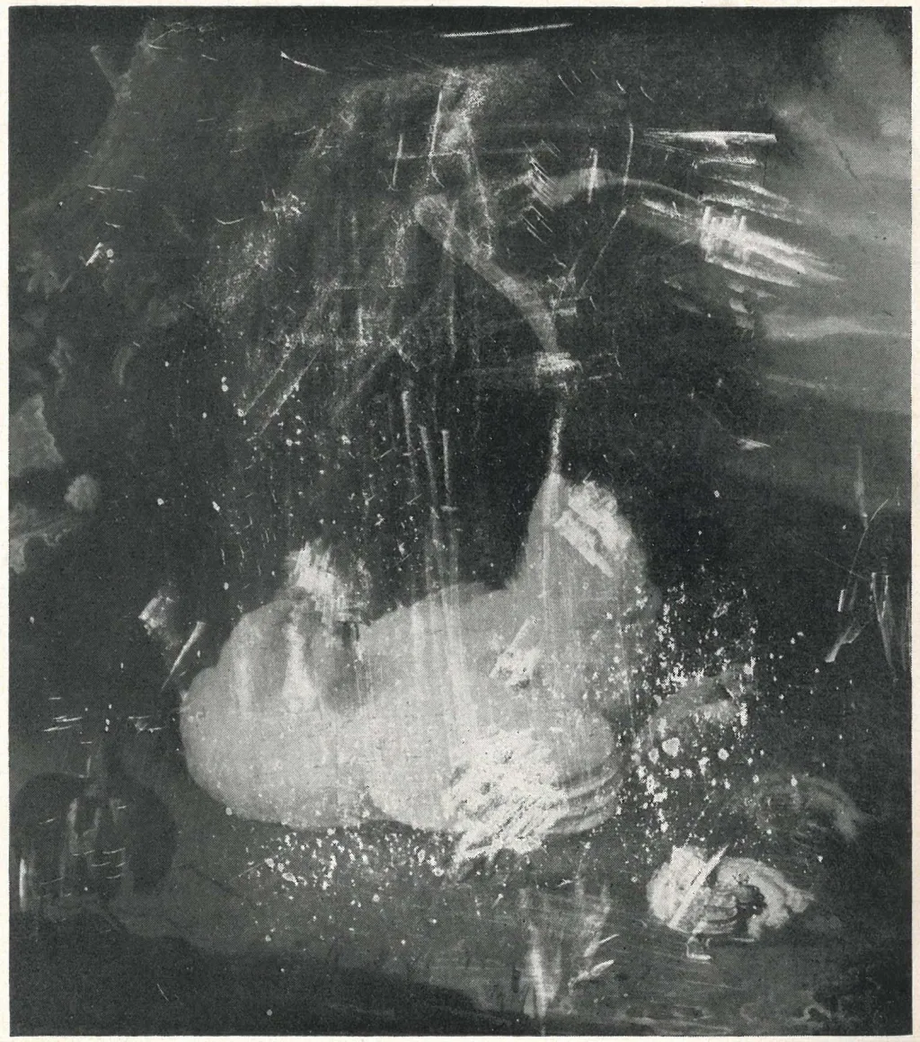 schilderij van hen met kuikens en vliegende duif in landschap, beschadigd na restauratie, uit rkd archief kunsthandel oudt holland