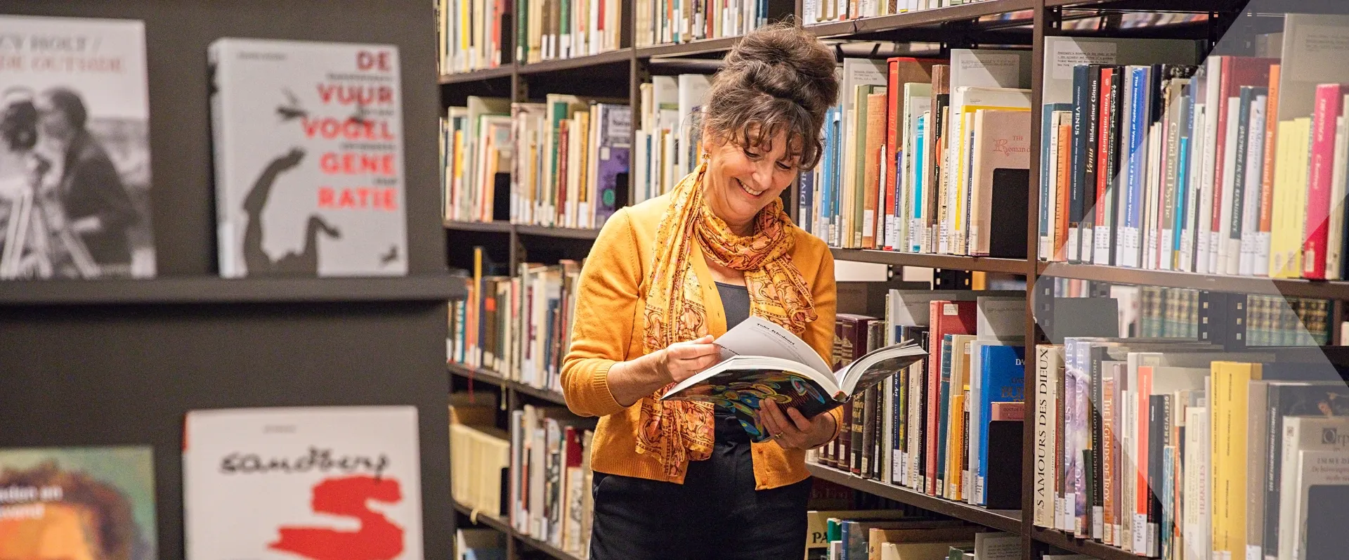 RKD Nederlands Instituut voor Kunstgeschiedenis